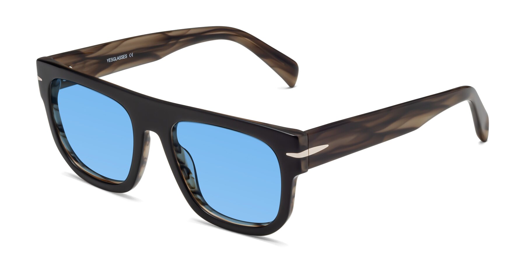 Angle of Campbell in Black-Stripe Brown with Medium Blue Tinted Lenses