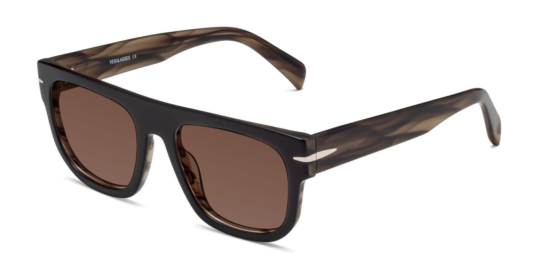 Angle of Campbell in Black-Stripe Brown with Brown Tinted Lenses