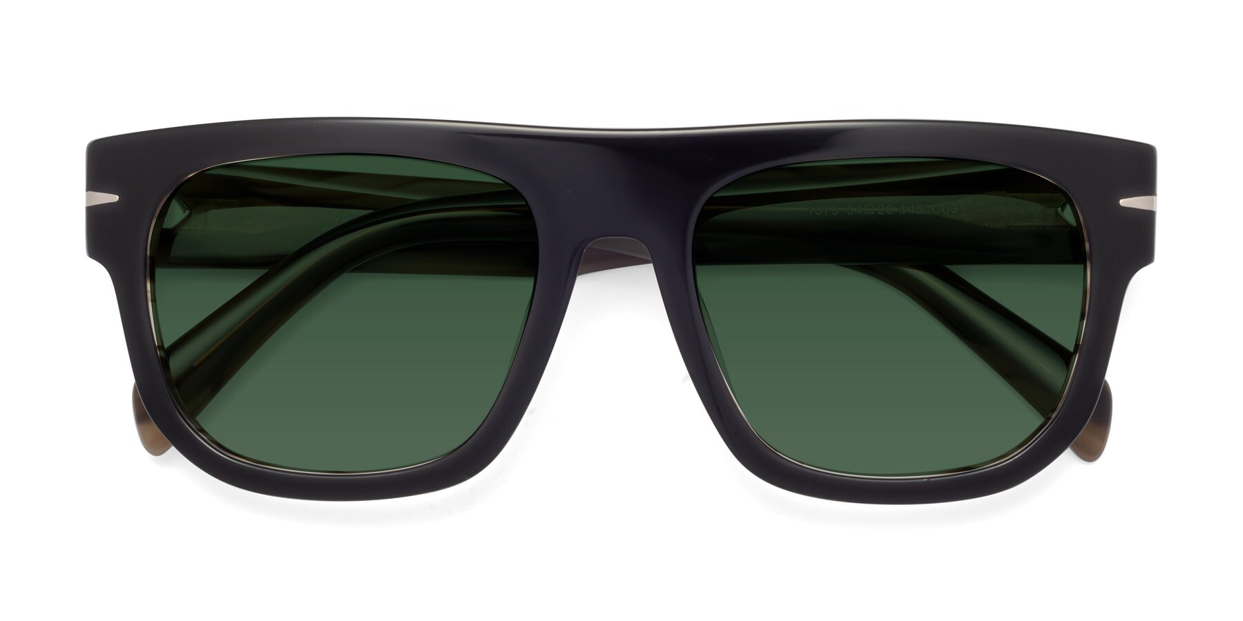Folded Front of Campbell in Black-Stripe Brown with Green Tinted Lenses