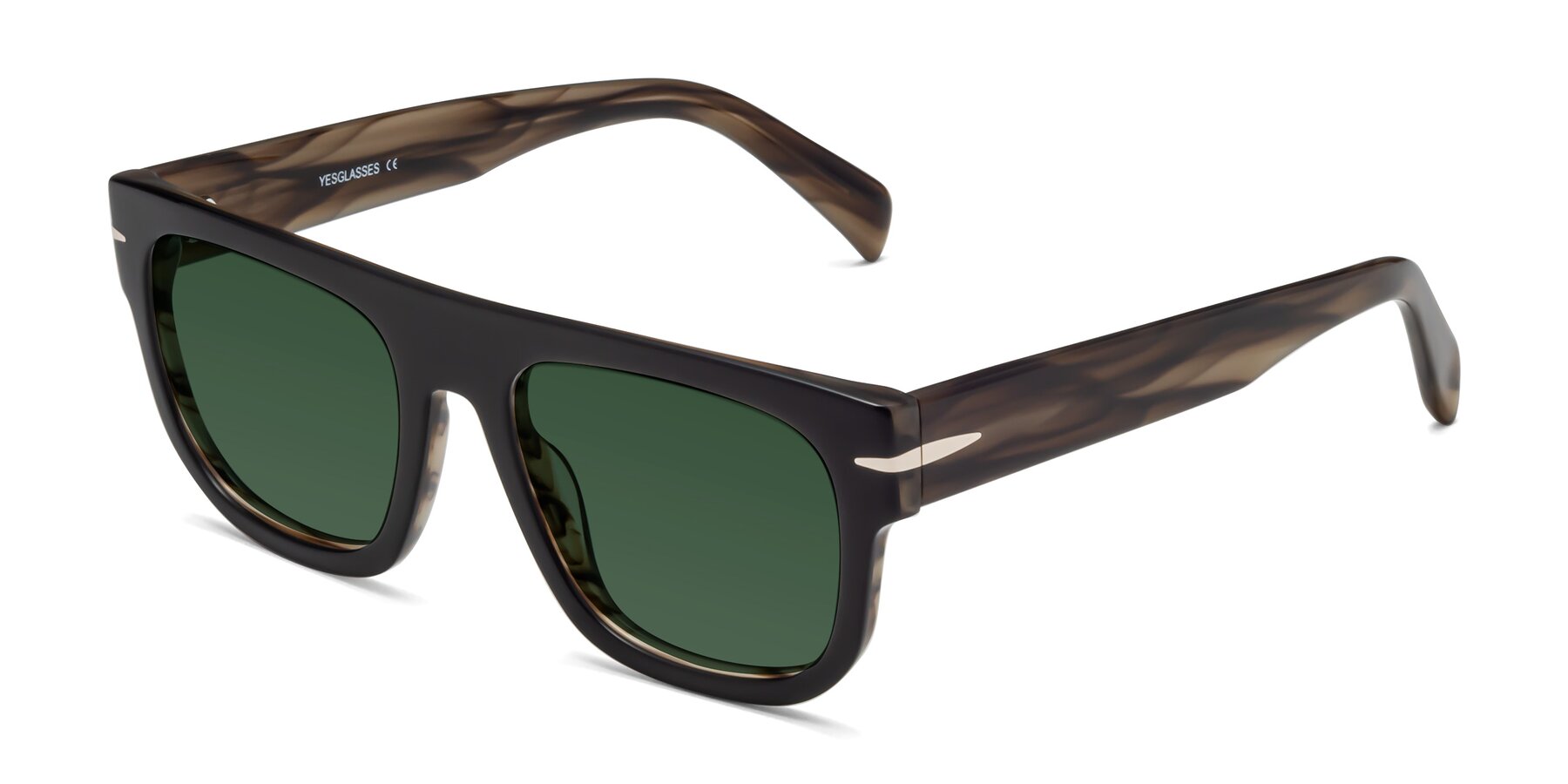 Angle of Campbell in Black-Stripe Brown with Green Tinted Lenses