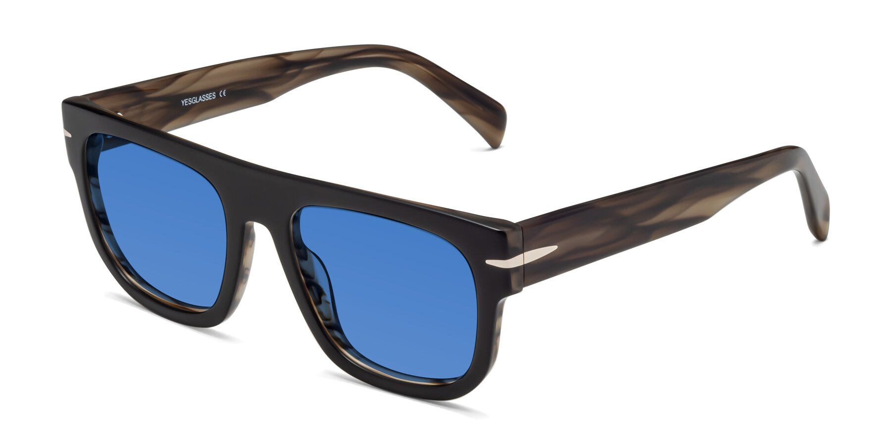 Angle of Campbell in Black-Stripe Brown with Blue Tinted Lenses