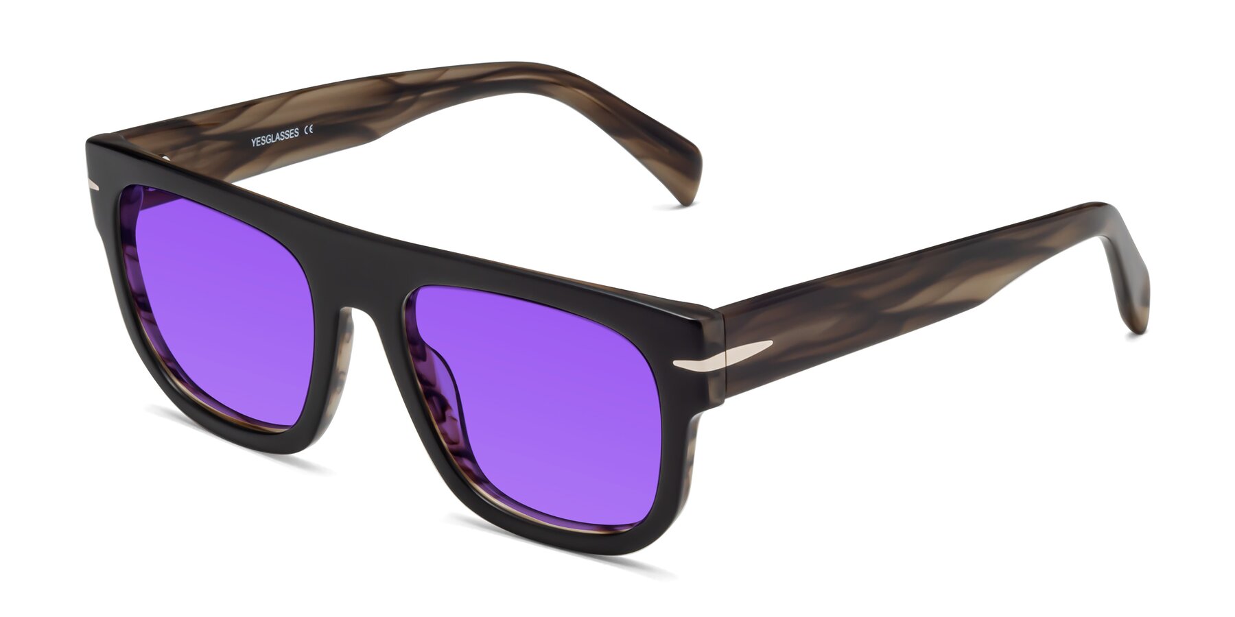 Angle of Campbell in Black-Stripe Brown with Purple Tinted Lenses