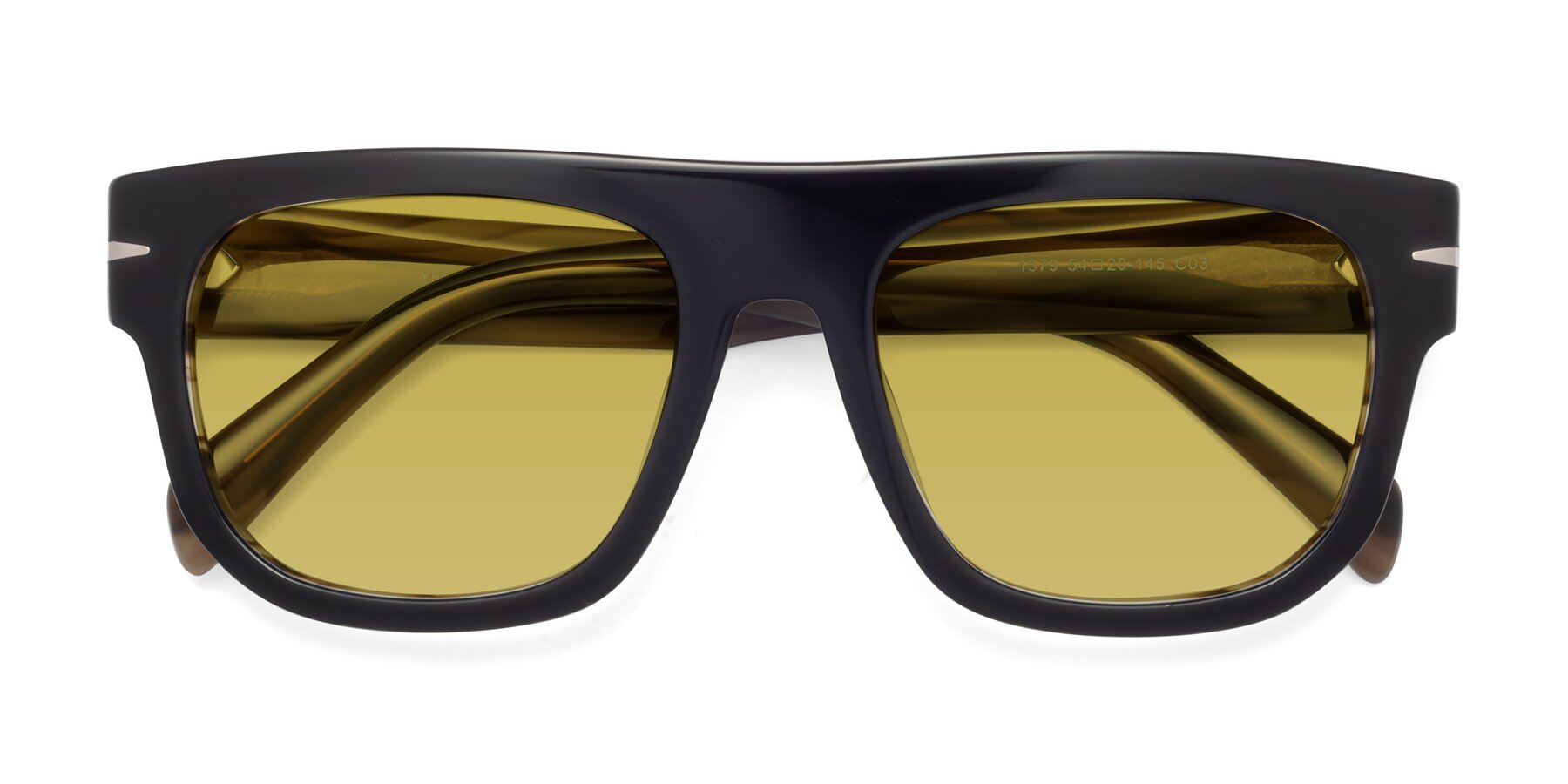 Folded Front of Campbell in Black-Stripe Brown with Champagne Tinted Lenses