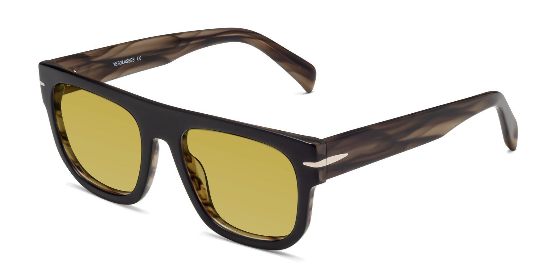 Angle of Campbell in Black-Stripe Brown with Champagne Tinted Lenses
