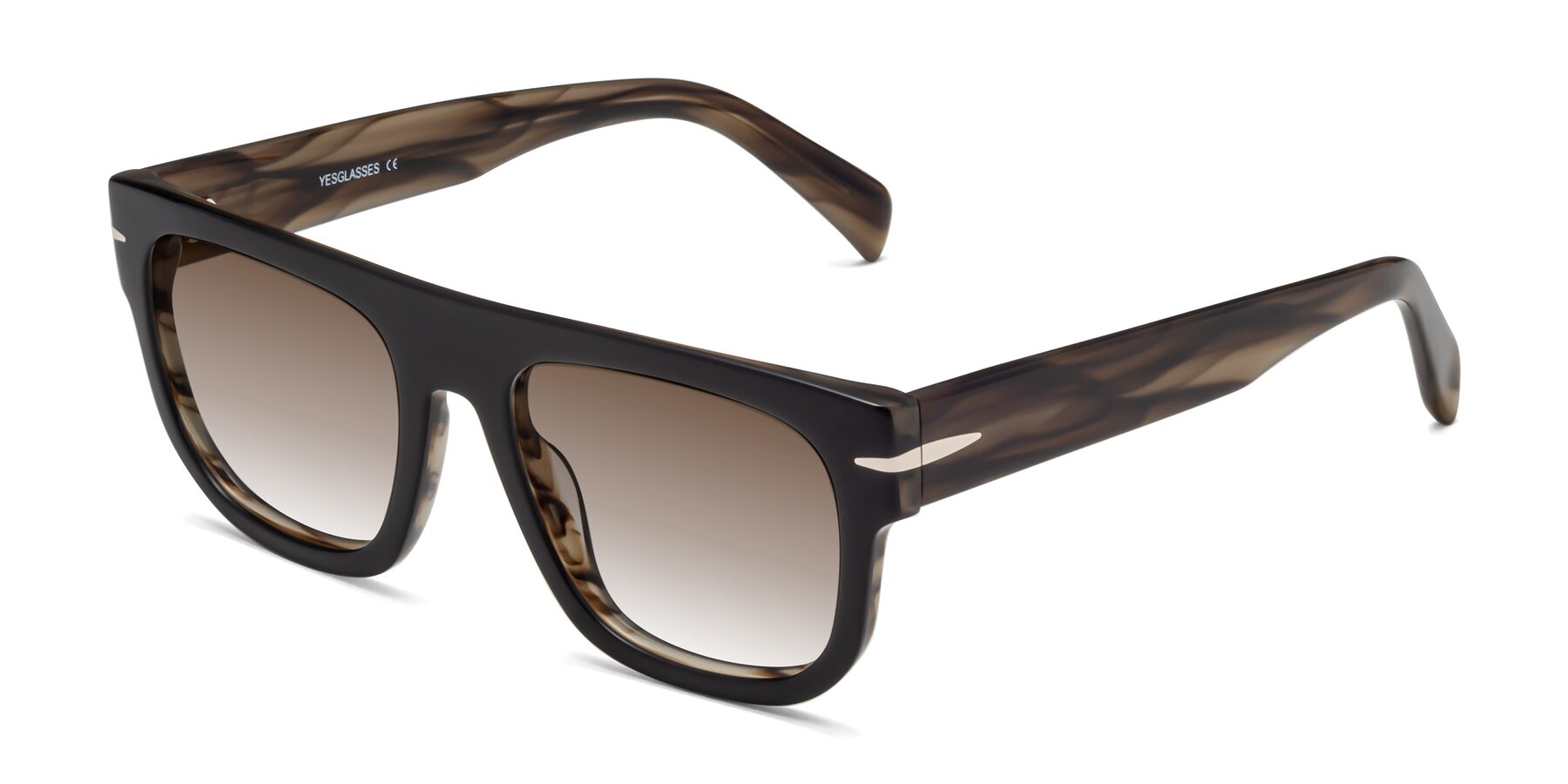 Angle of Campbell in Black-Stripe Brown with Brown Gradient Lenses