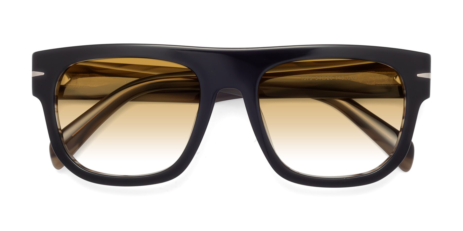 Folded Front of Campbell in Black-Stripe Brown with Champagne Gradient Lenses