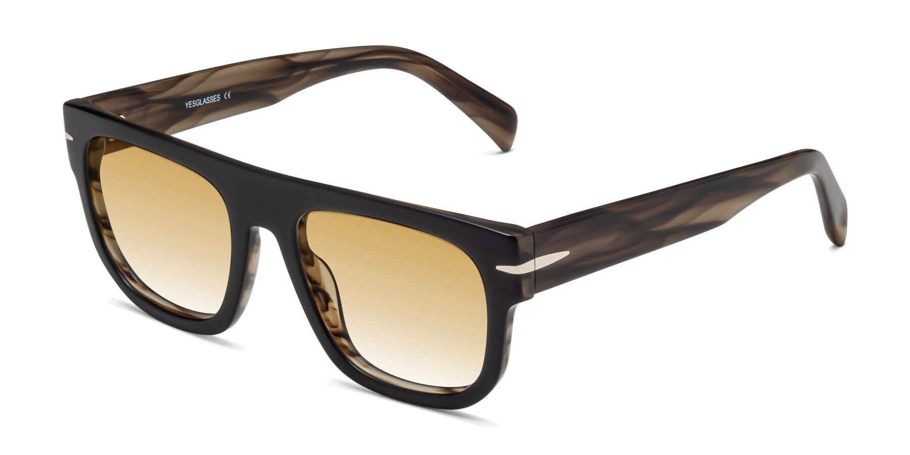 Angle of Campbell in Black-Stripe Brown with Champagne Gradient Lenses