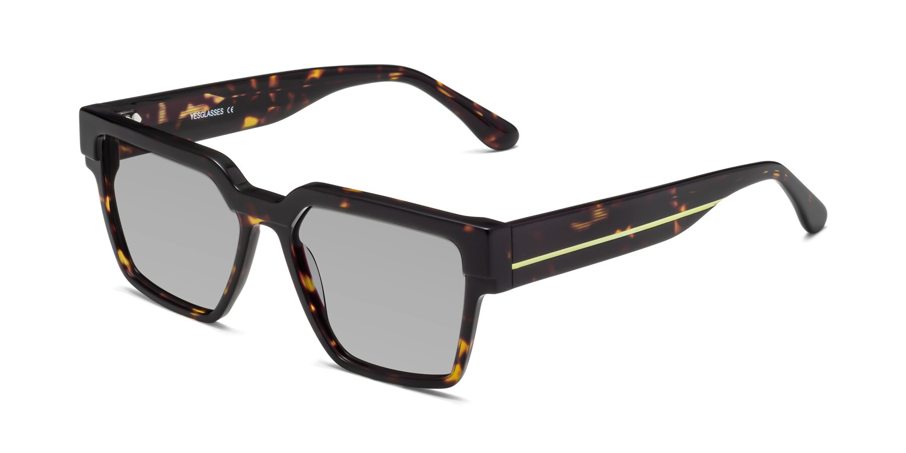 Angle of Rincon in Tortoise with Light Gray Tinted Lenses