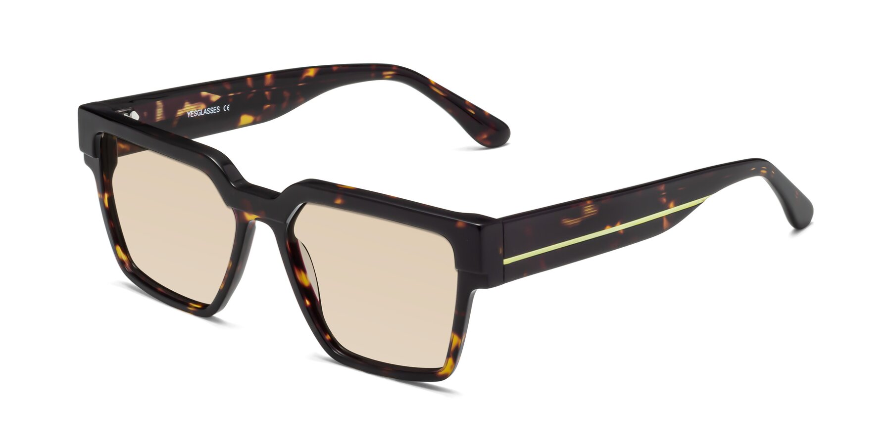 Angle of Rincon in Tortoise with Light Brown Tinted Lenses
