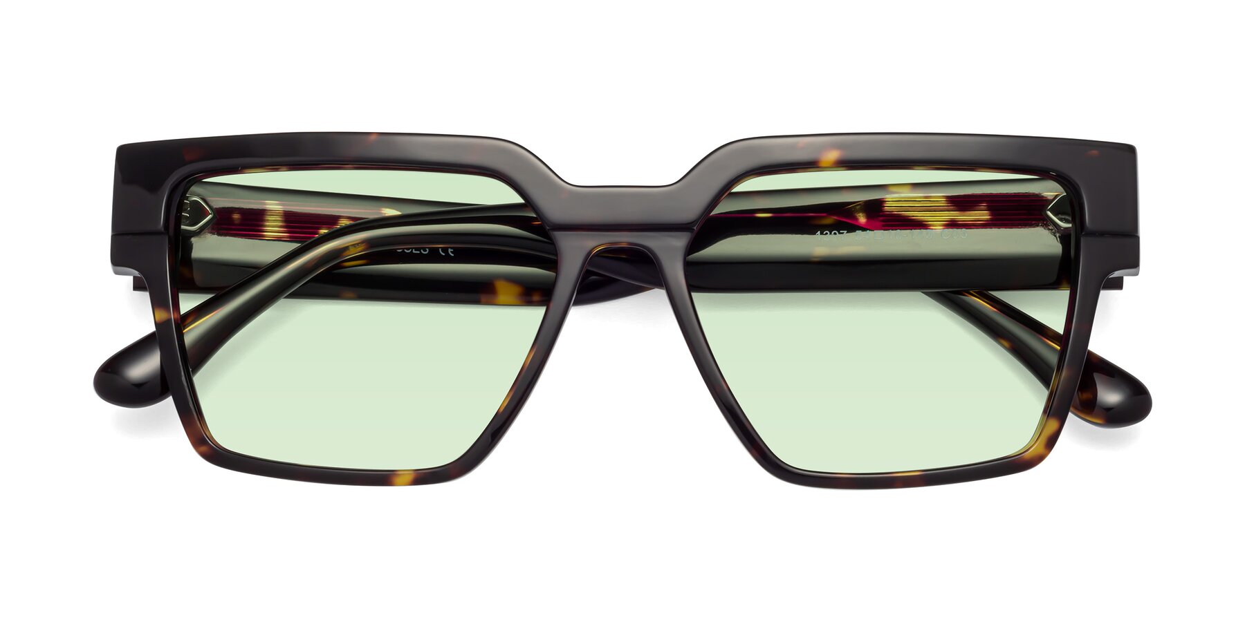 Folded Front of Rincon in Tortoise with Light Green Tinted Lenses