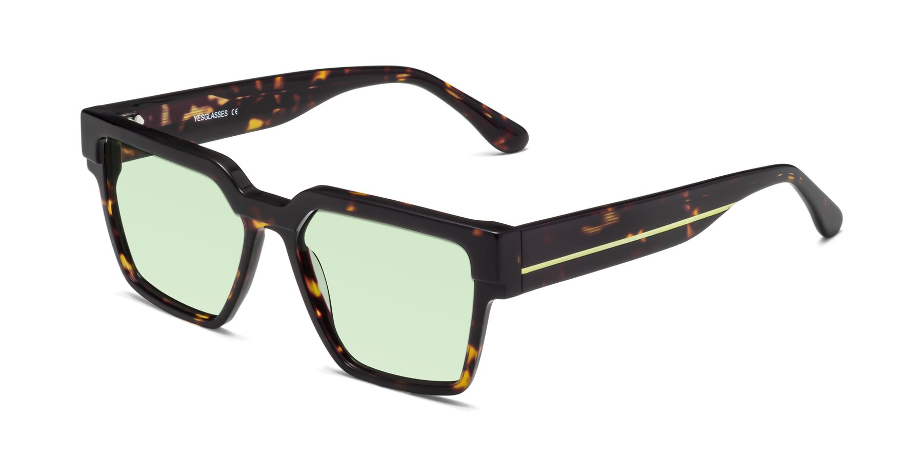 Angle of Rincon in Tortoise with Light Green Tinted Lenses