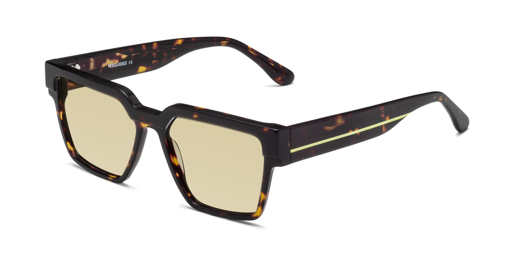 Angle of Rincon in Tortoise with Light Champagne Tinted Lenses