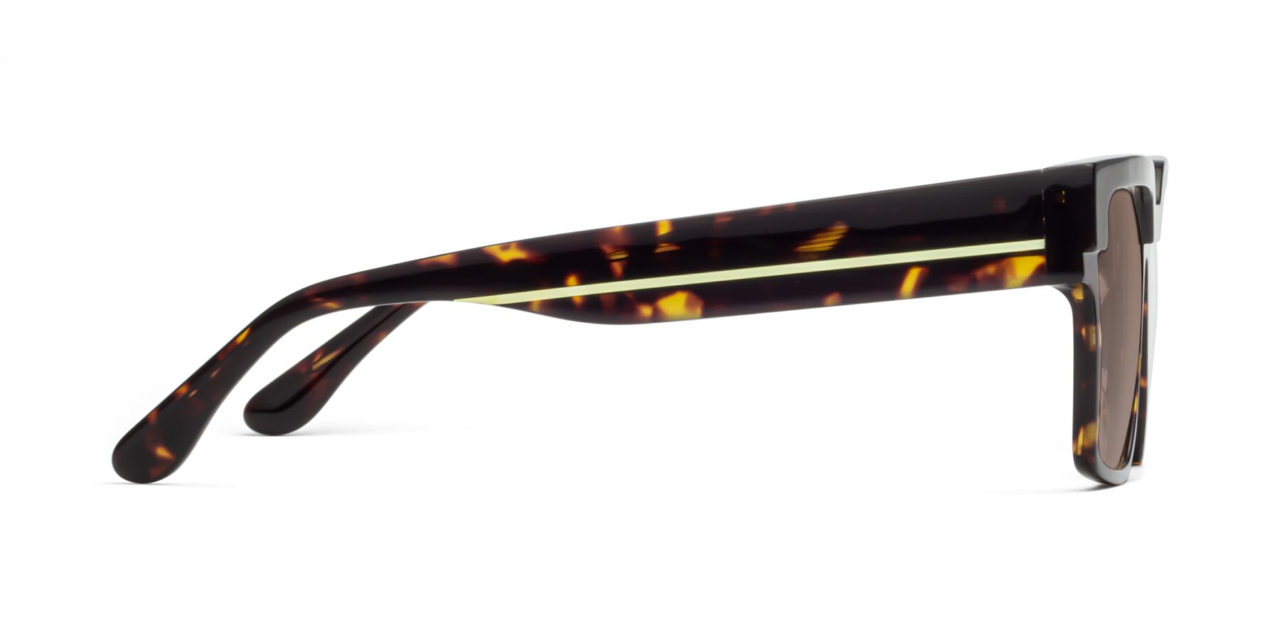 Side of Rincon in Tortoise with Medium Brown Tinted Lenses