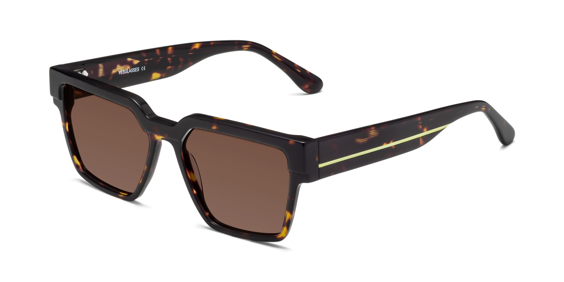 Angle of Rincon in Tortoise with Brown Tinted Lenses