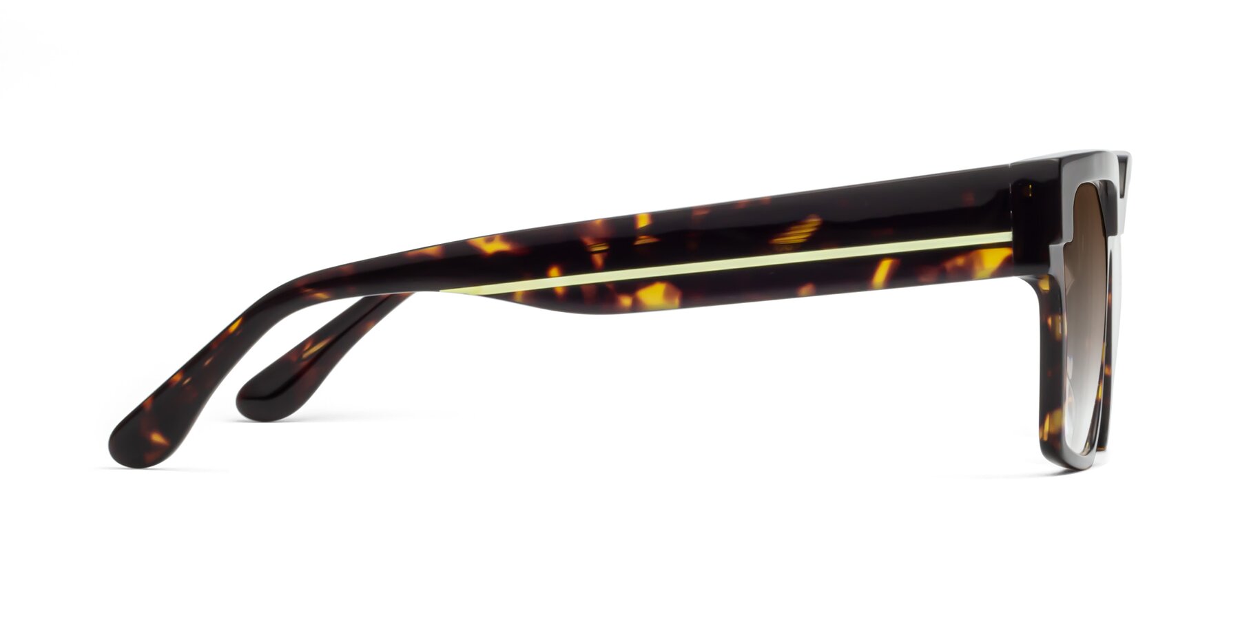 Side of Rincon in Tortoise with Brown Gradient Lenses