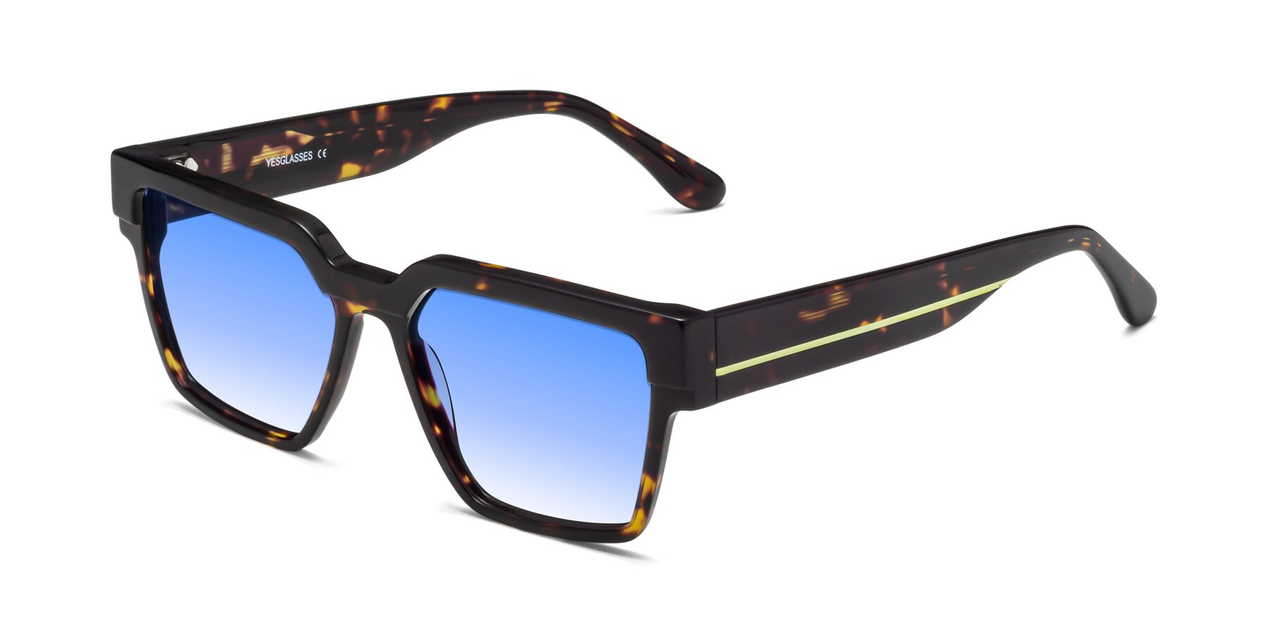 Angle of Rincon in Tortoise with Blue Gradient Lenses