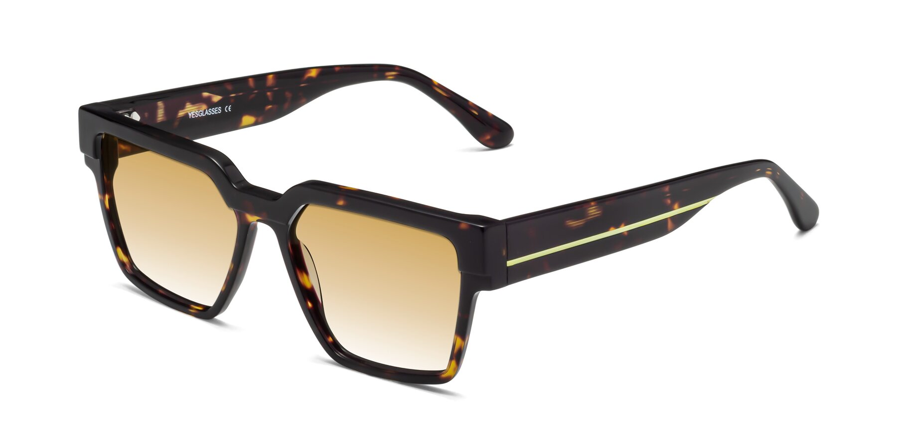 Angle of Rincon in Tortoise with Champagne Gradient Lenses
