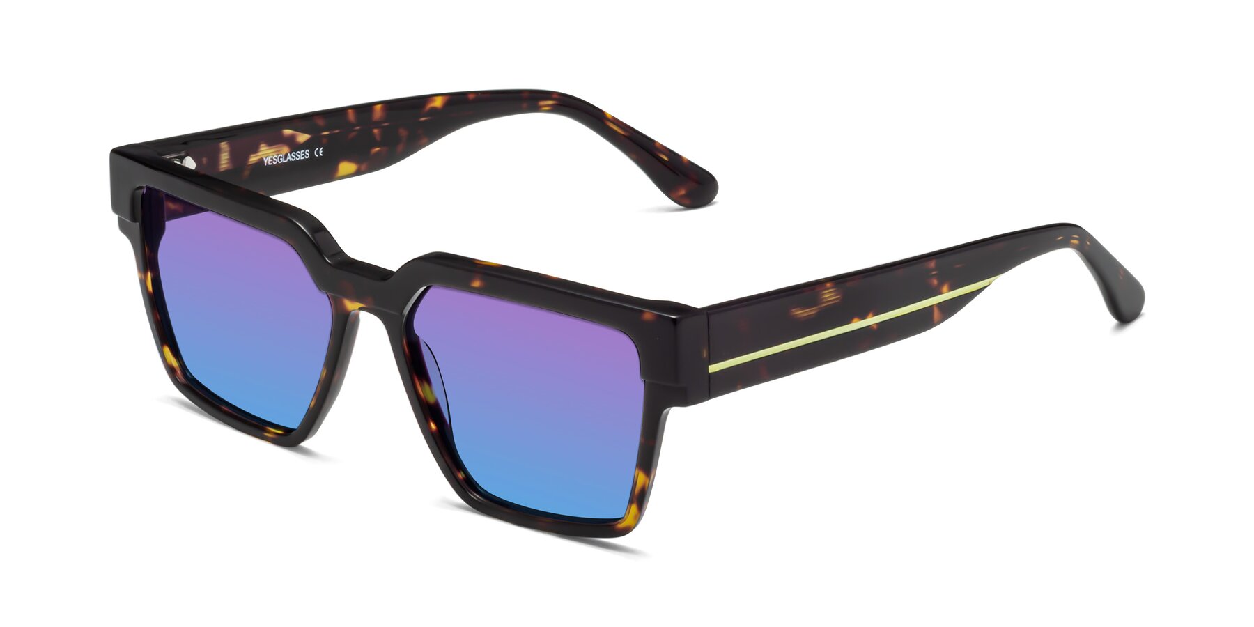Angle of Rincon in Tortoise with Purple / Blue Gradient Lenses
