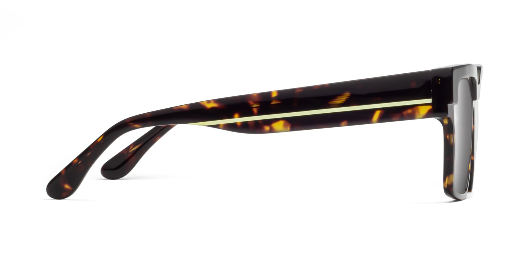 Side of Rincon in Tortoise with Silver Mirrored Lenses