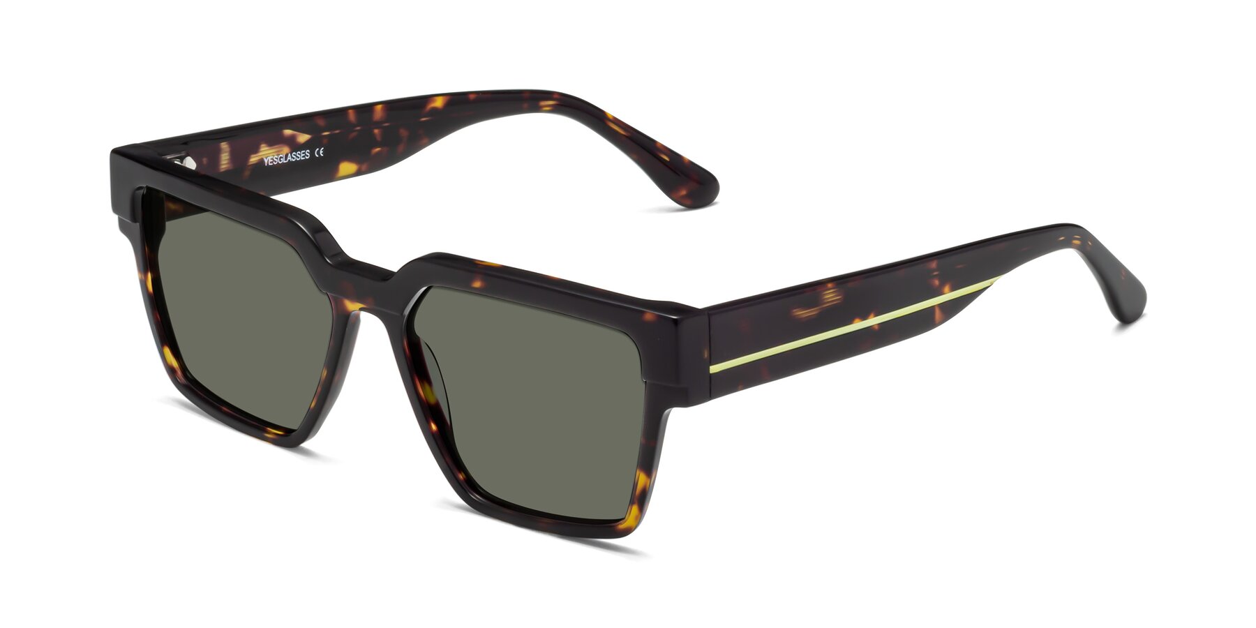 Angle of Rincon in Tortoise with Gray Polarized Lenses