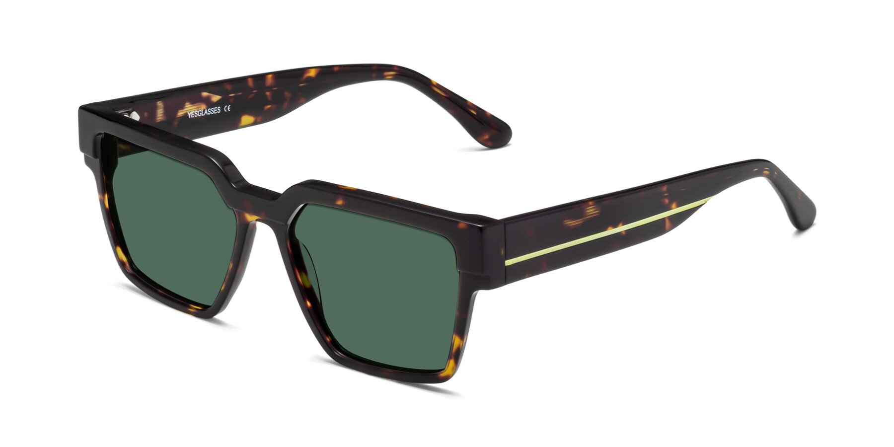 Angle of Rincon in Tortoise with Green Polarized Lenses
