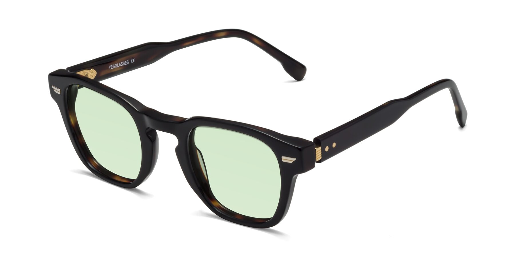 Angle of 1421 in Black-Tortoise with Light Green Tinted Lenses