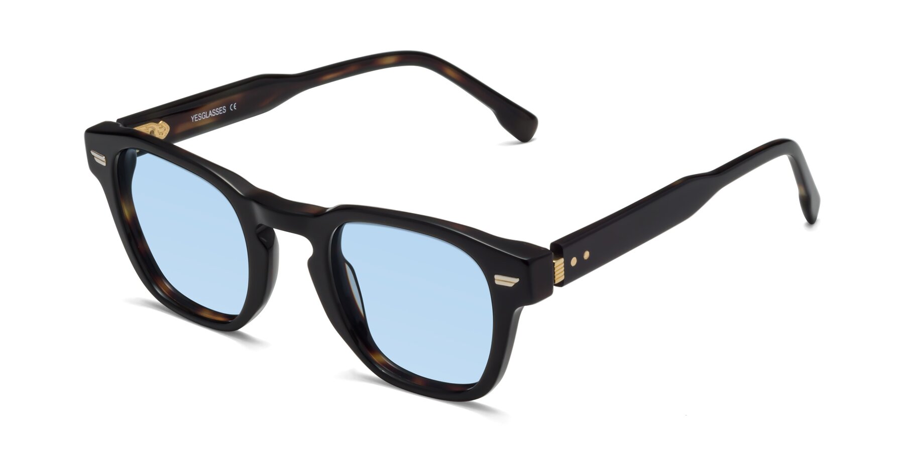 Angle of 1421 in Black-Tortoise with Light Blue Tinted Lenses