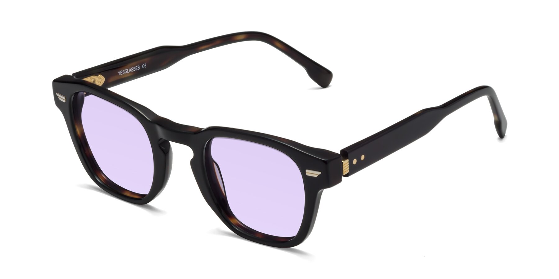 Angle of 1421 in Black-Tortoise with Light Purple Tinted Lenses
