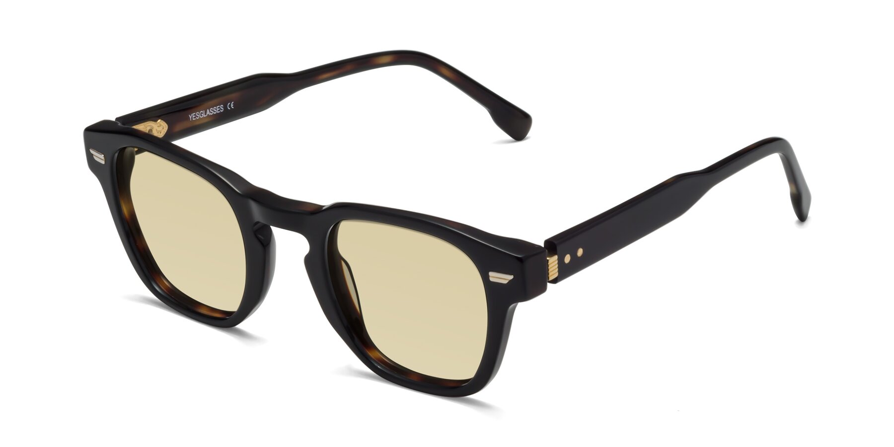 Angle of 1421 in Black-Tortoise with Light Champagne Tinted Lenses