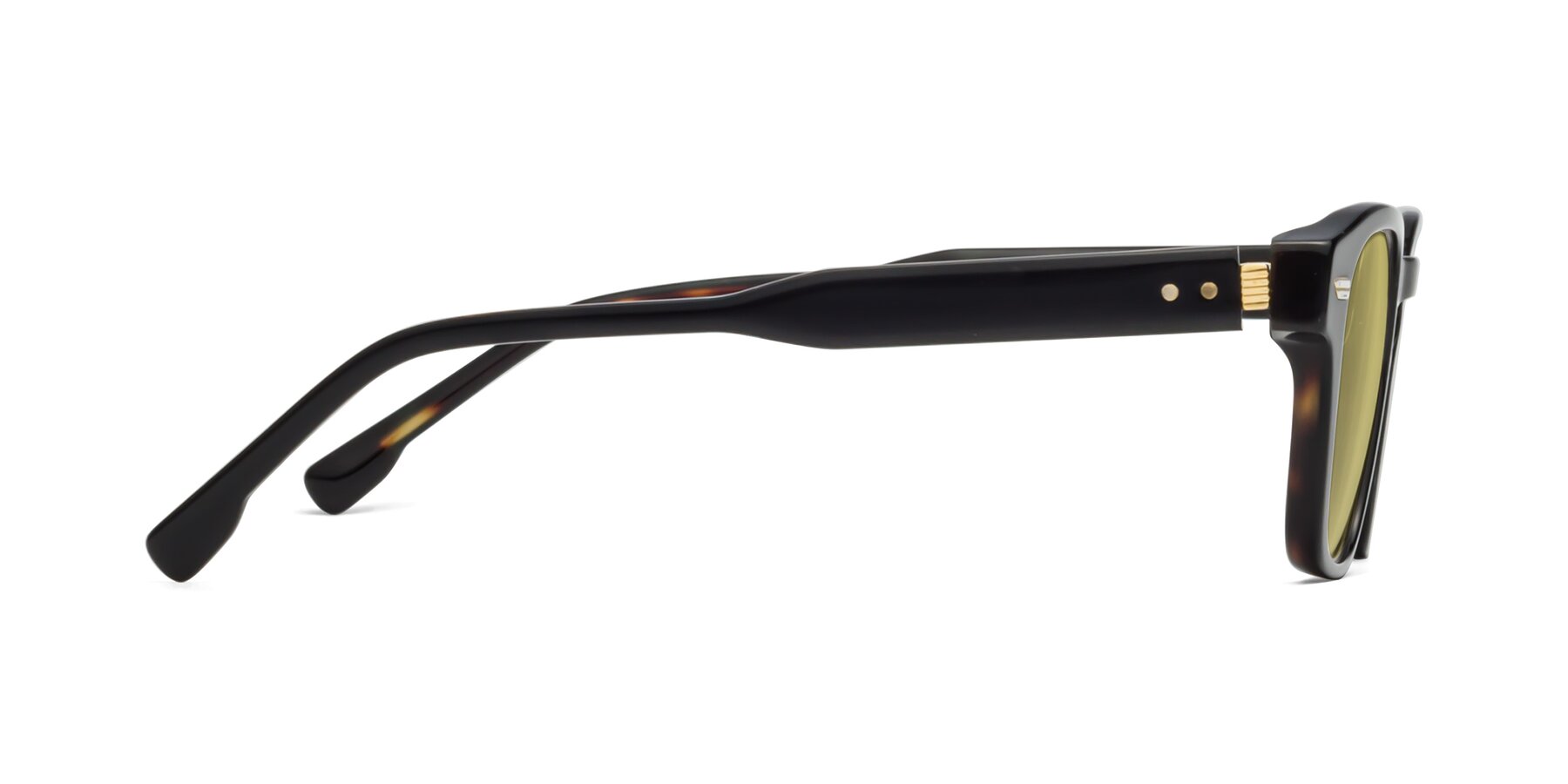 Side of 1421 in Black-Tortoise with Medium Champagne Tinted Lenses