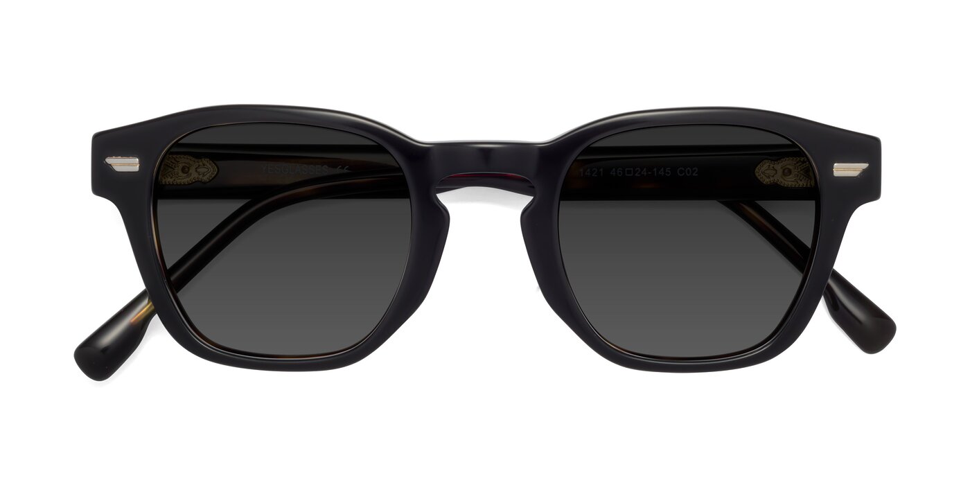 1421 - Black / Tortoise Tinted Sunglasses