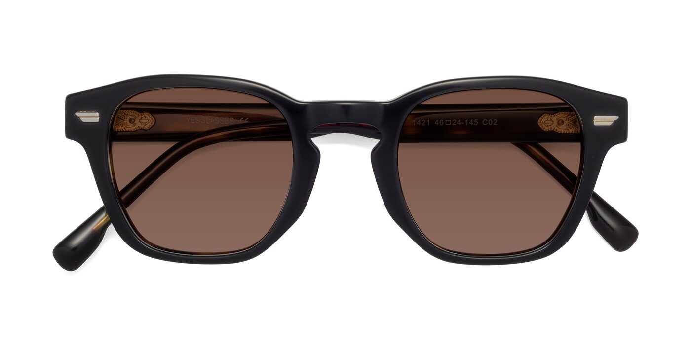 1421 - Black / Tortoise Tinted Sunglasses