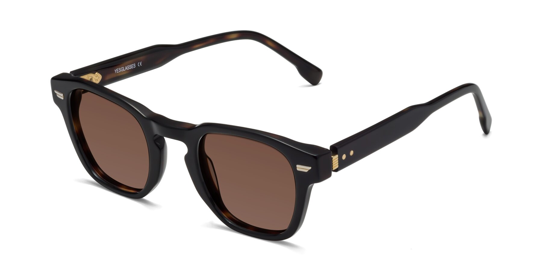 Angle of Costa in Black-Tortoise with Brown Tinted Lenses
