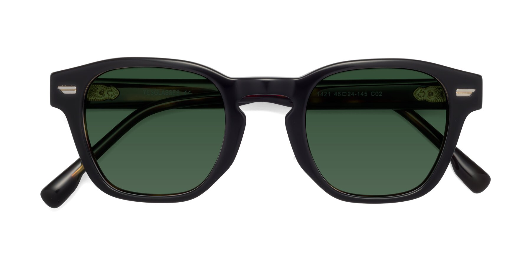 Folded Front of 1421 in Black-Tortoise with Green Tinted Lenses