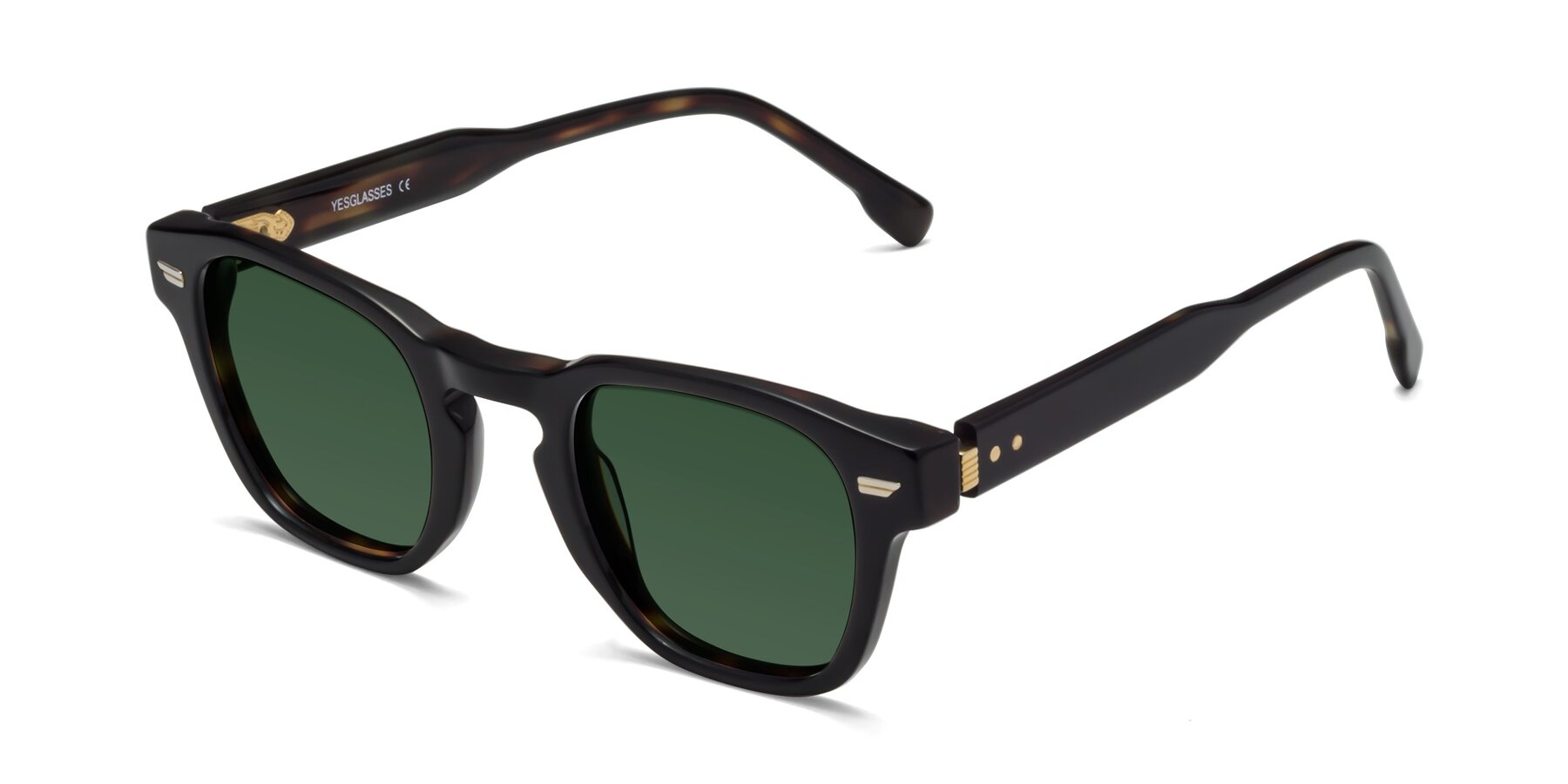 Angle of 1421 in Black-Tortoise with Green Tinted Lenses