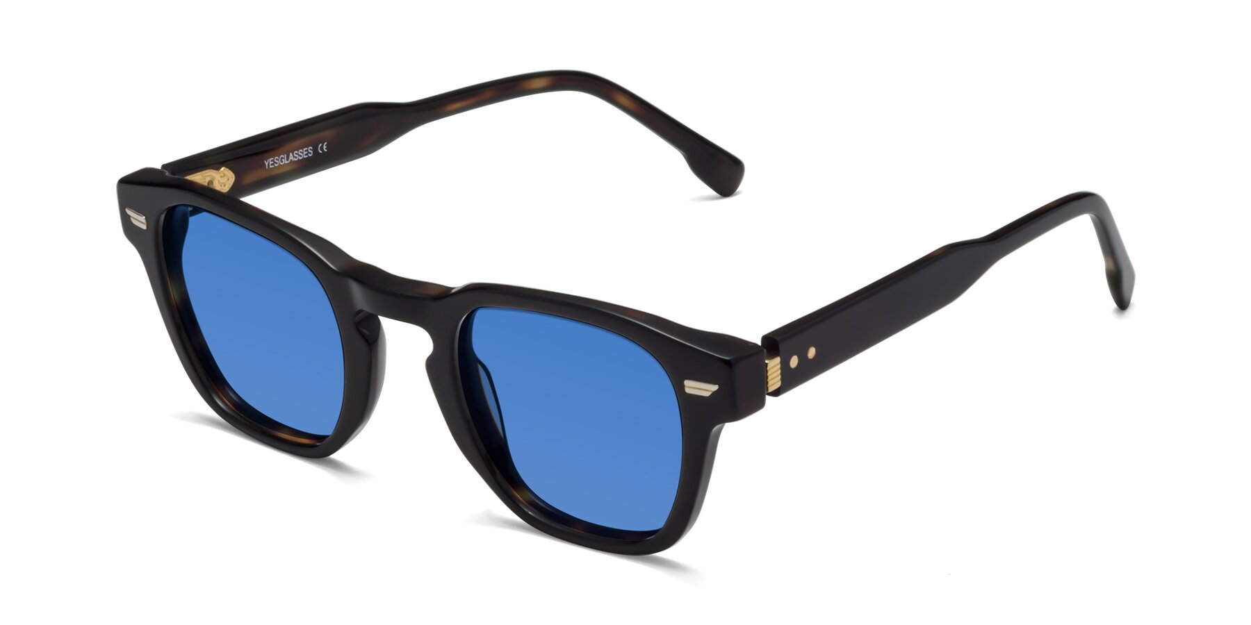 Angle of 1421 in Black-Tortoise with Blue Tinted Lenses