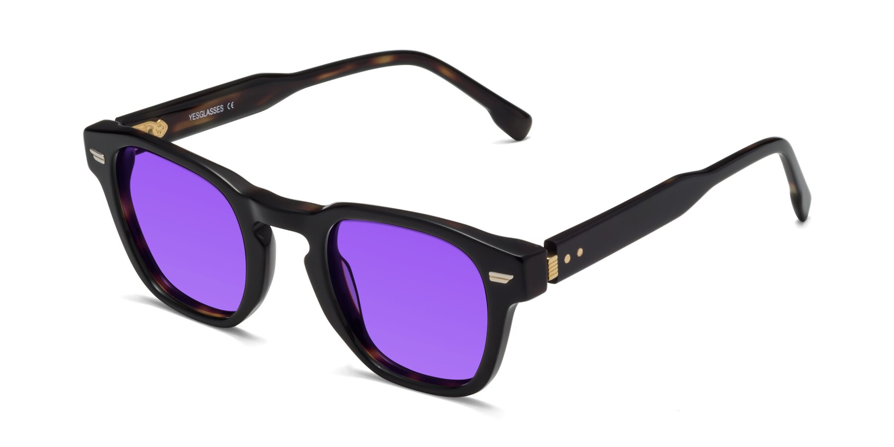 Angle of 1421 in Black-Tortoise with Purple Tinted Lenses