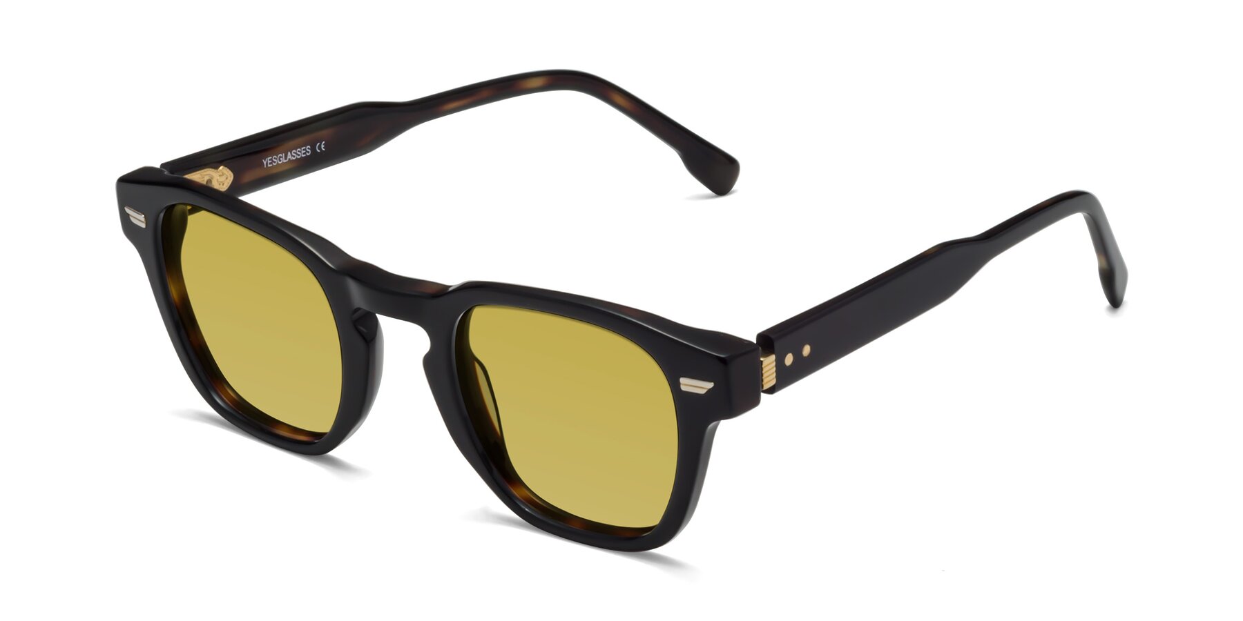 Angle of 1421 in Black-Tortoise with Champagne Tinted Lenses