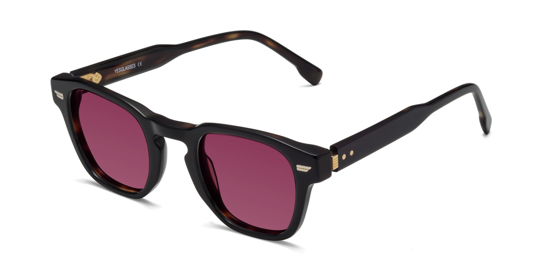 Angle of 1421 in Black-Tortoise with Wine Tinted Lenses