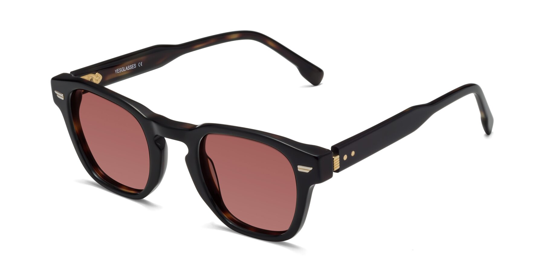 Angle of 1421 in Black-Tortoise with Garnet Tinted Lenses