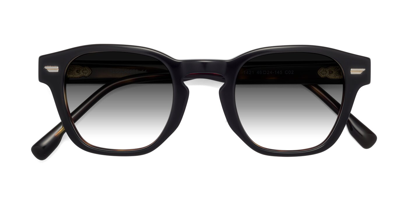 1421 - Black / Tortoise Gradient Sunglasses