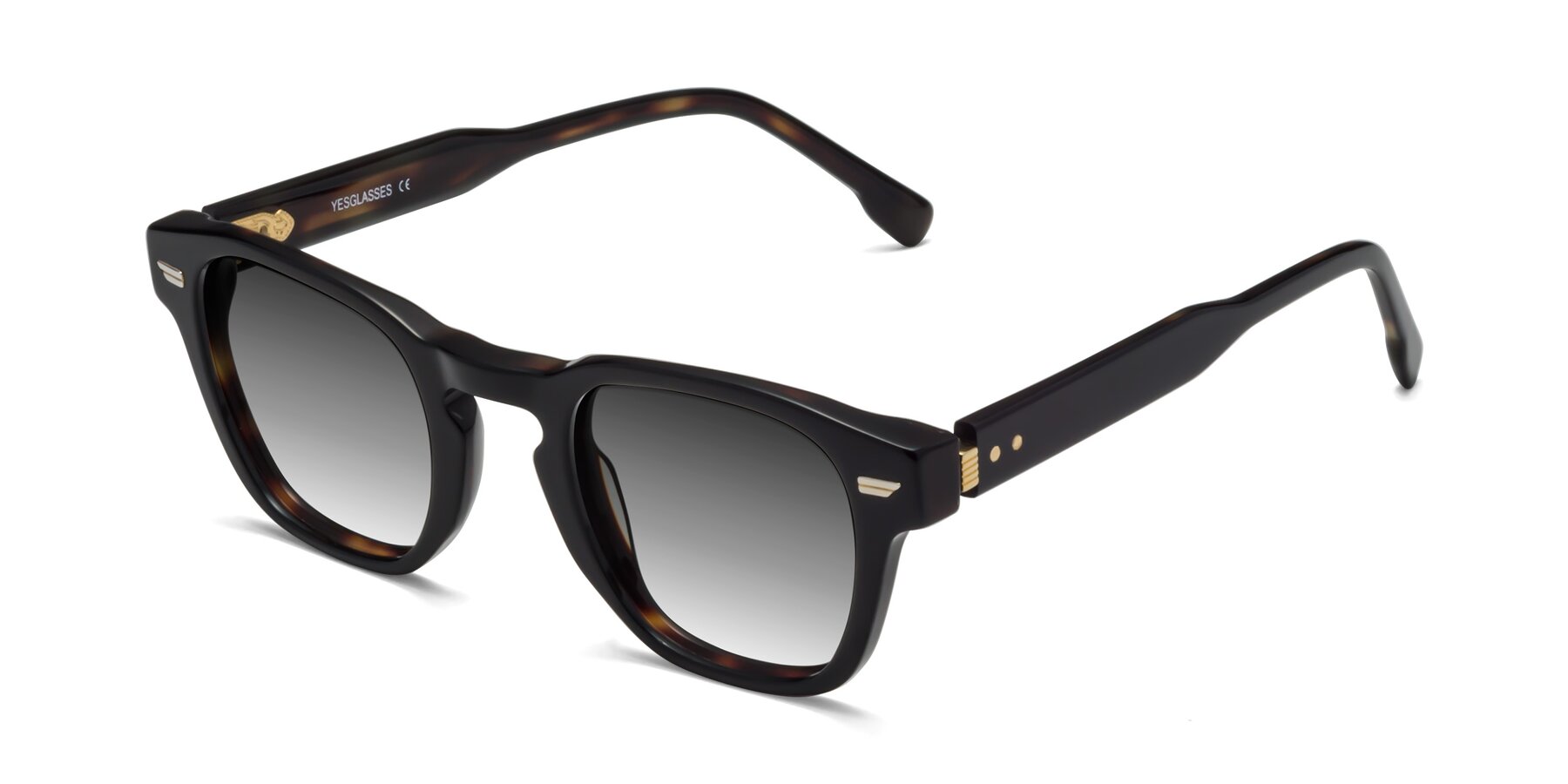Angle of Costa in Black-Tortoise with Gray Gradient Lenses