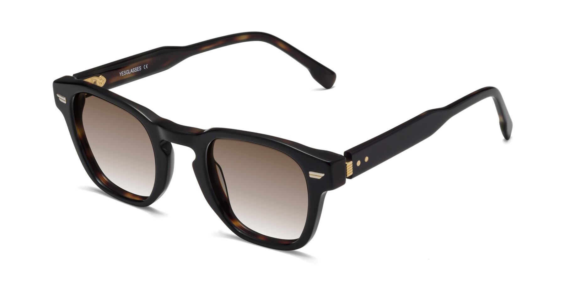 Angle of 1421 in Black-Tortoise with Brown Gradient Lenses