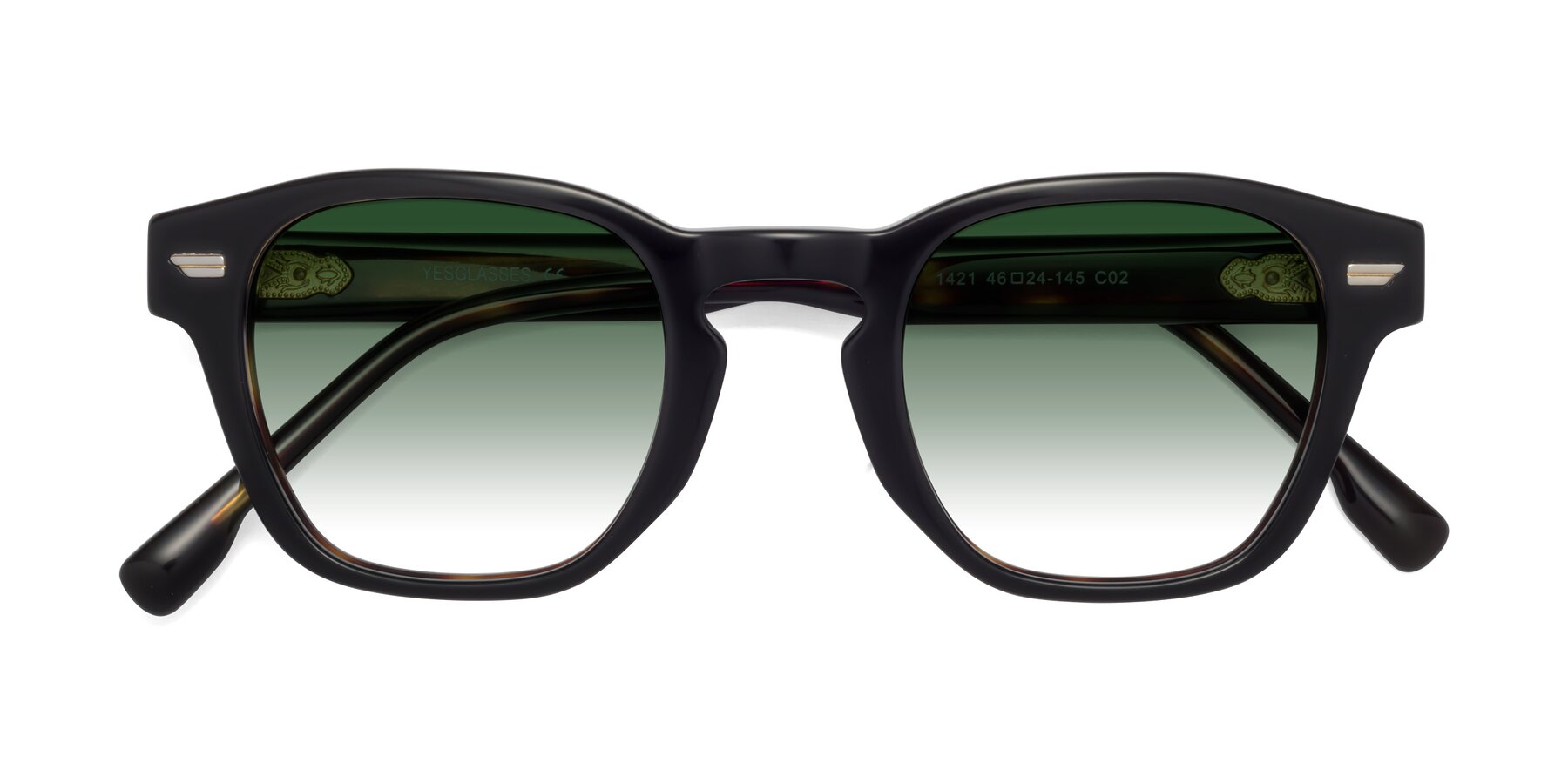 Folded Front of 1421 in Black-Tortoise with Green Gradient Lenses