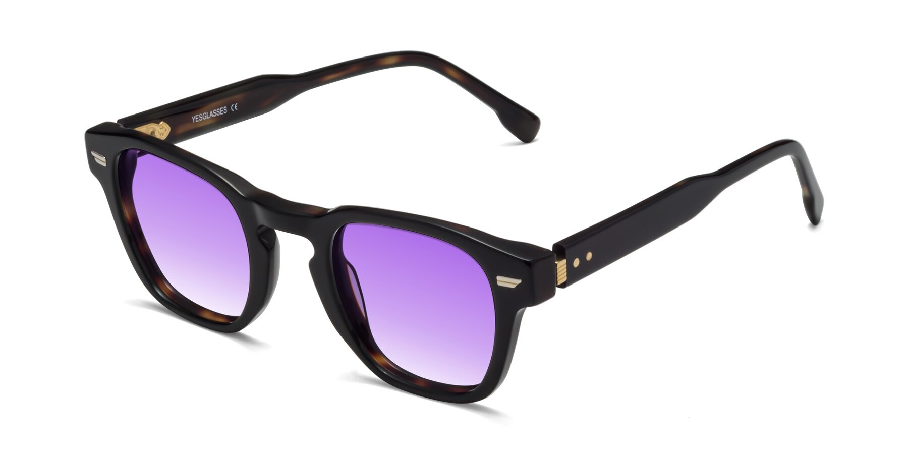 Angle of 1421 in Black-Tortoise with Purple Gradient Lenses