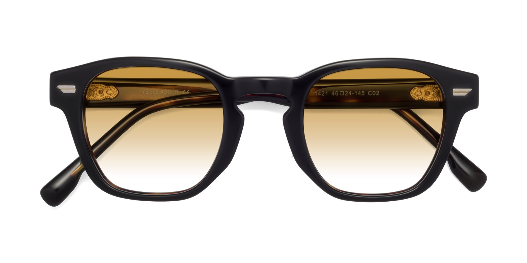 Folded Front of 1421 in Black-Tortoise with Champagne Gradient Lenses