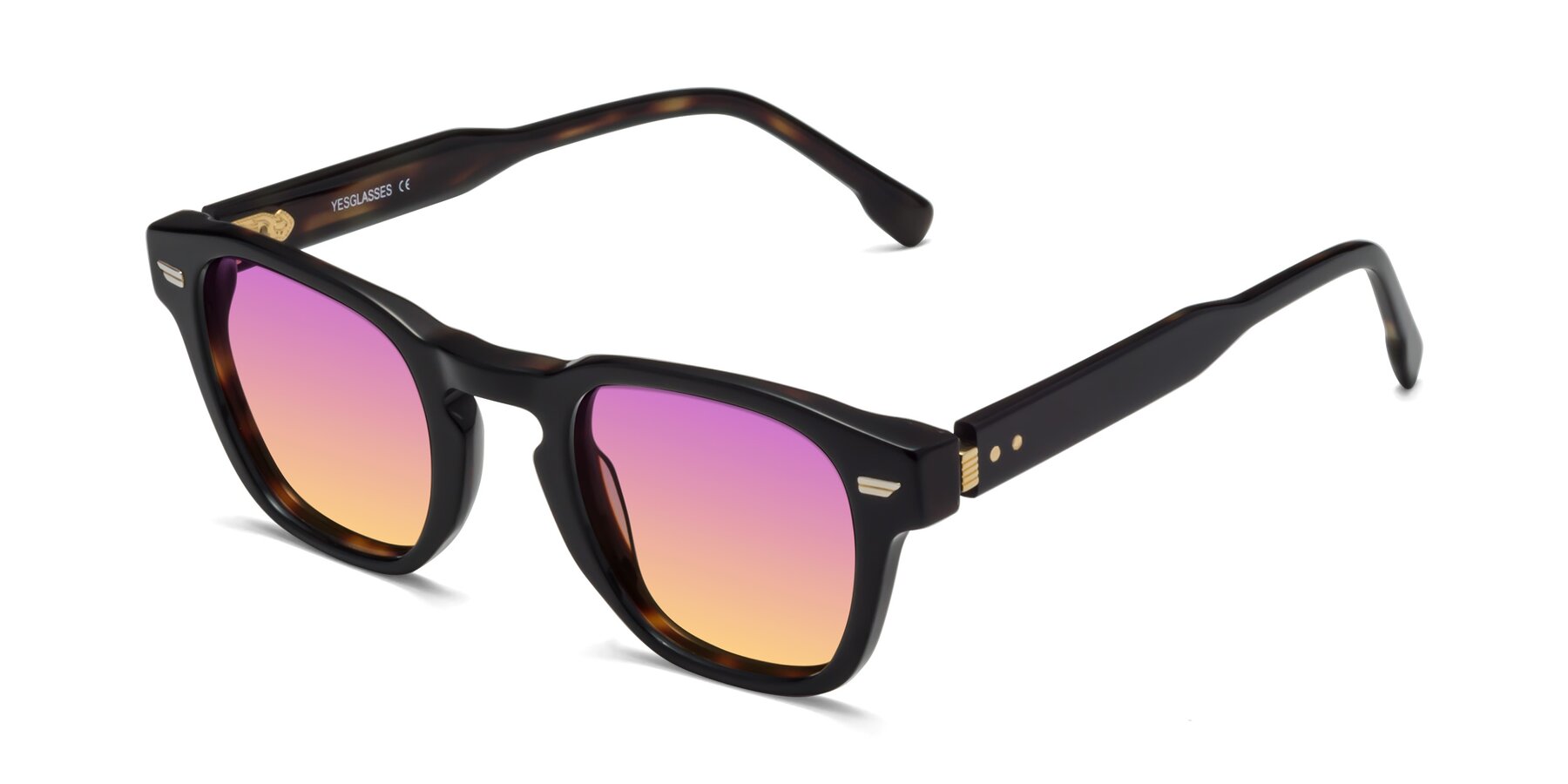 Angle of Costa in Black-Tortoise with Purple / Yellow Gradient Lenses