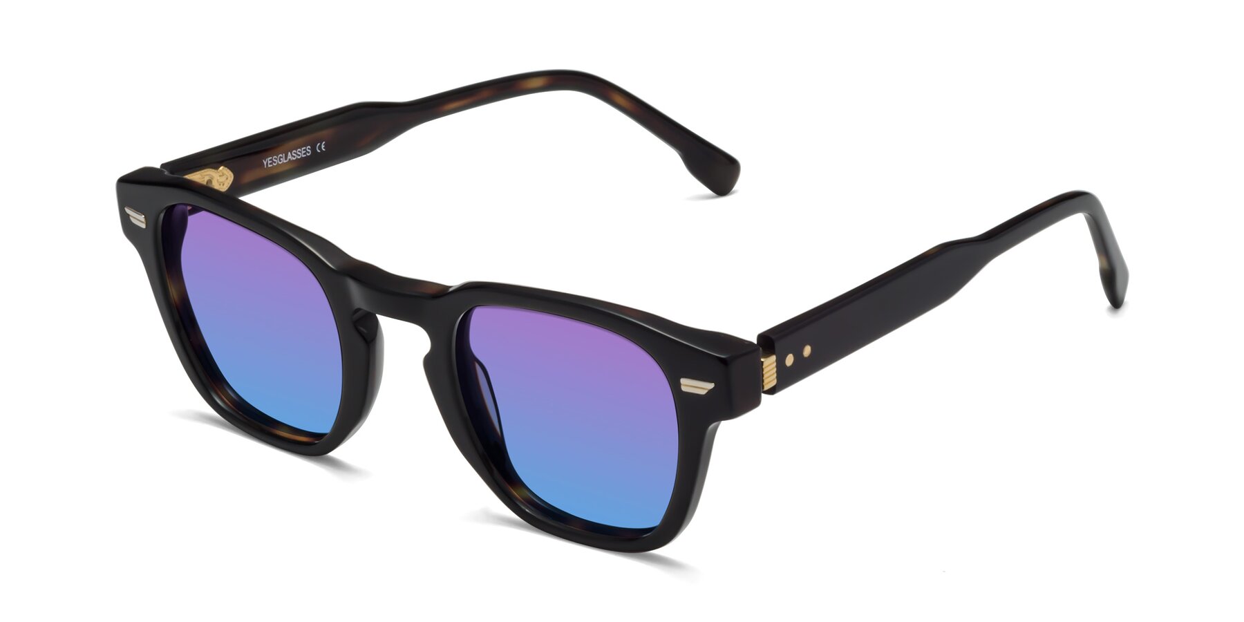Angle of 1421 in Black-Tortoise with Purple / Blue Gradient Lenses