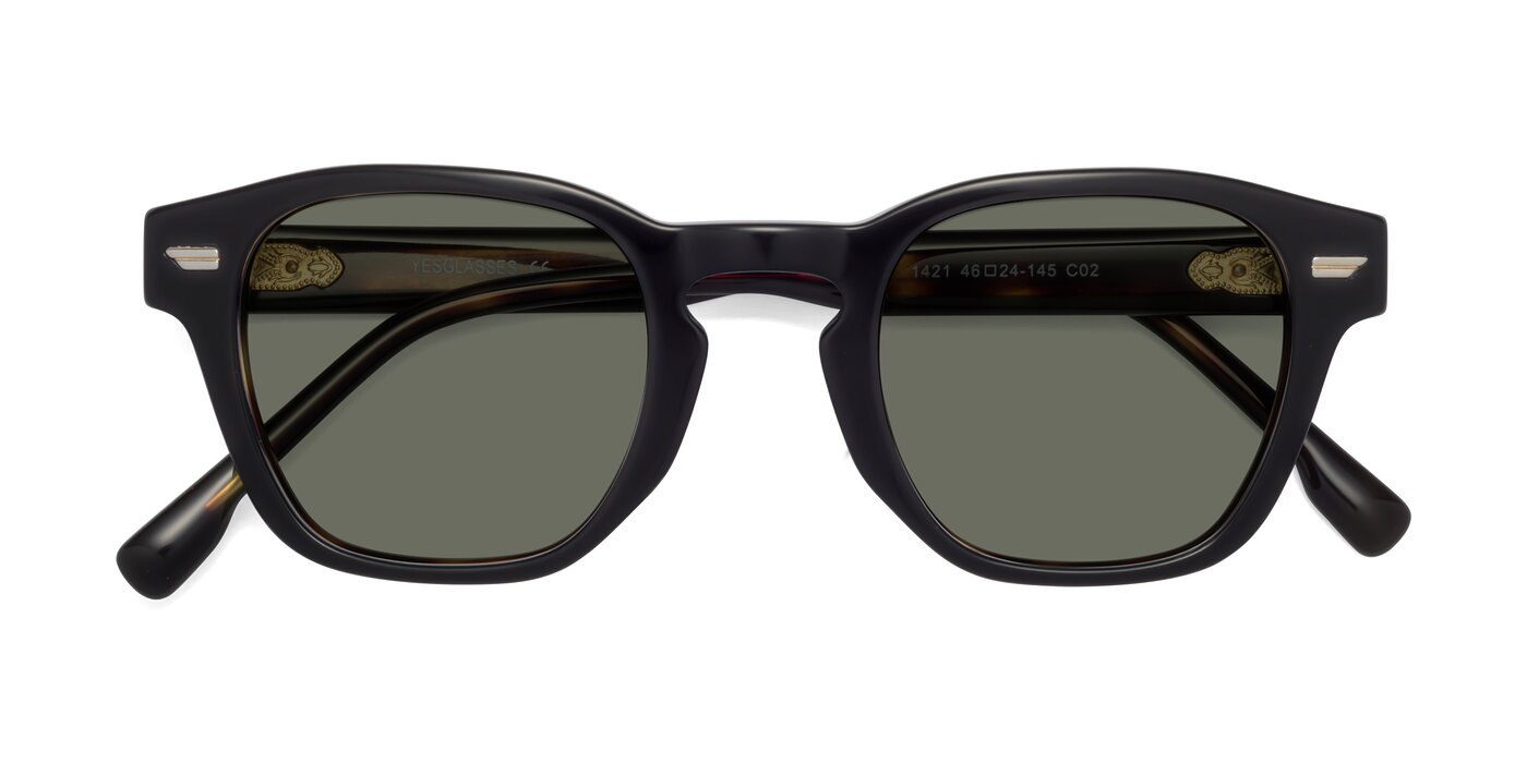 1421 - Black / Tortoise Polarized Sunglasses