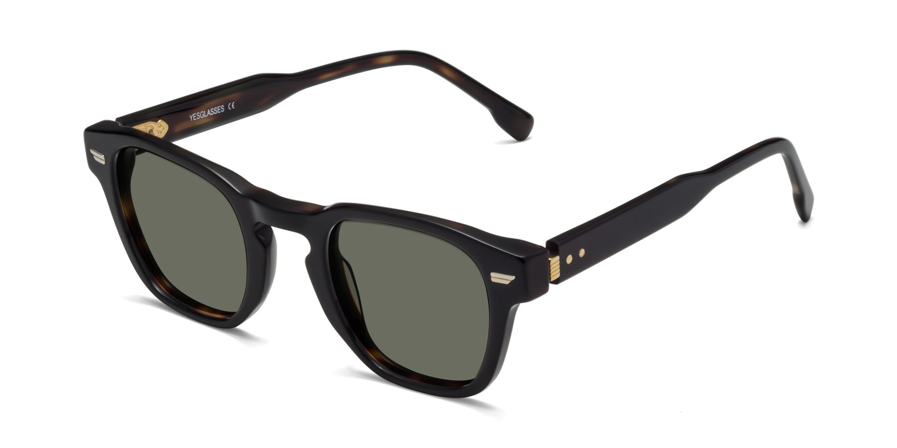 Angle of 1421 in Black-Tortoise with Gray Polarized Lenses